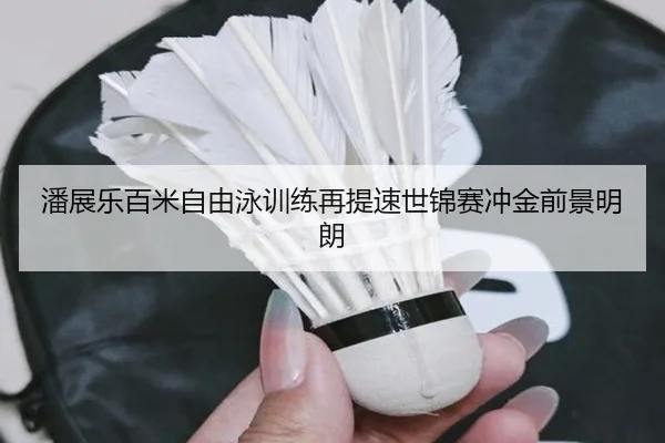 潘展乐百米自由泳训练再提速世锦赛冲金前景明朗